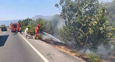 Ula'da yol kenarında başlayan alevler korkuttu