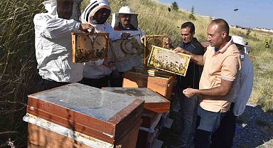 Üniversitenin arı işletmesinde bal hasadı başladı