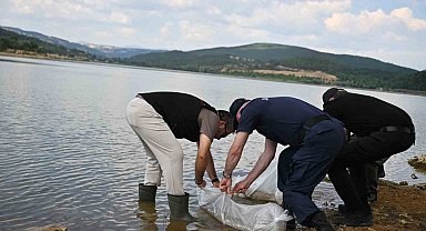 Uşak'ta Göğem Göleti'ne pullu sazan yavruları bırakıldı
