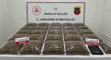 Uyuşturucu operasyonunda 13 şüpheli yakalandı