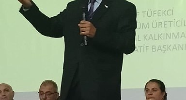 Üzüm sektöründen 'Eylem Planı' çağrısı