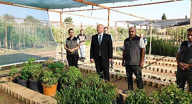 Vali Küçük, Orman Fidanlık Müdürlüğü'nde incelemelerde bulundu