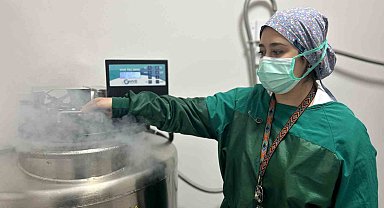 Van'da tüp bebek tedavisinde ilk gebelikler başladı