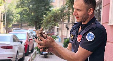 Yağmur suyu giderine sıkışan kediyi itfaiye kurtardı