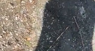 Yakaladığı yılanla arkadaşını kovaladı