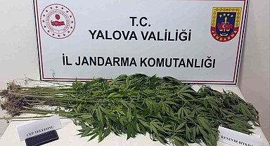 Yalova'da uyuşturucu operasyonu: 3 gözaltı