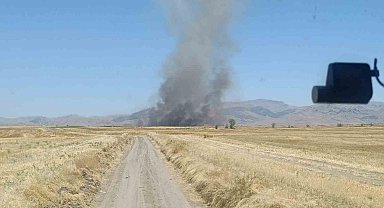 Yangında 100 dekar tarım arazisi zarar gördü