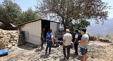 Yangında zarar gören çiftçilere Muğla Büyükşehir desteği