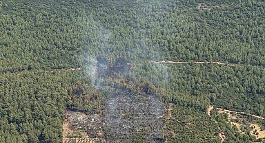 Yatağan'da korkutan zirai yangın kontrol altına alındı