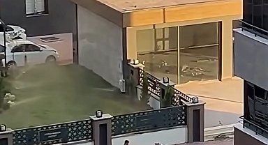 Yeni Parti Milletvekili Melih Meriç bıçaklı saldırıya uğradı