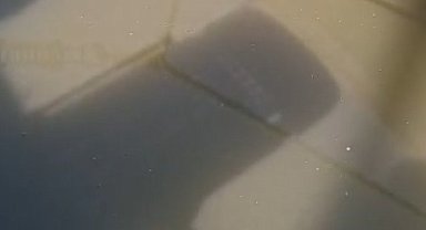 Yeşilköy'de balıkçı barınağından denize atık su deşarjının görüntüleri ortaya çıktı