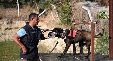 Yetiştirdiği kurtarma köpekleriyle doğal afetlerde birçok hayat kurtardı