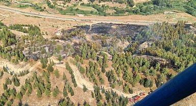 Yol kenarında başlayıp ormana sıçrayan yangın hızlı ve etkin müdahaleyle büyümeden söndürüldü