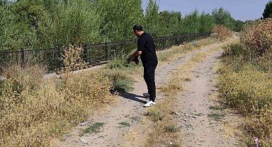 Yoldaki kaplumbağayı duyarlı vatandaş kurtardı