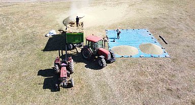Yozgat'ta mercimek hasadının ardından patoz mesaisi başladı