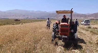 Yüksekova'da sıcak havaya rağmen çiftçilerin hasat mesaisi başladı