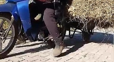 Yüksekovalı vatandaşın pratik zekası: Motosikletin arkasına el arabası bağlayarak üzerinde ot taşıdı