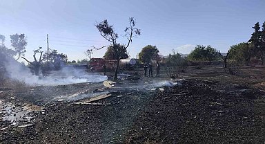 Zeytinlik alanda çıkan yangın kontrol altına alındı