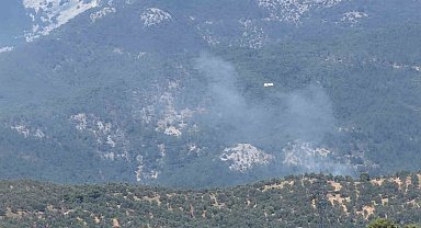 Zeytinlikte çıkan yangın Kazdağı Milli Parkı'na sıçradı