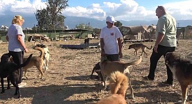 18 yıllık gönüllülük, 4,5 dönümlük yaşam evine dönüştü...130 cana yuva oldular