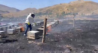 Adıyaman'da otluk alan yangını 200 arı kovanını kül etti