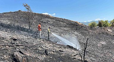 Alanya'da ağaçlık alanda çıkan yangında 10 dönüm alan ve sera zarar gördü