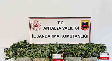 Alanya'da uyuşturucu operasyonunda 24 kök kenevir ve 2 kilo 642 gram esrar ele geçirildi