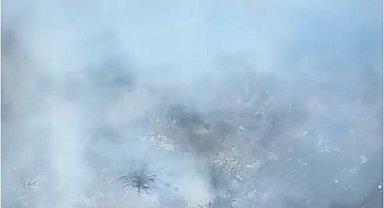 Alanya'nın iki ayrı mahallesindeki kısmen ormana sıçrayan yangın söndürüldü