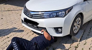 Antakya ve İskenderun'da araçlarda mahsur kalan kediler kurtarıldı