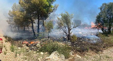 Antalya'da zirai alanda çıkan yangın büyümeden söndürüldü