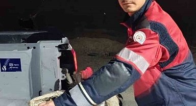 Arsuz'da kayalıklarda yorgun düşen leylek kurtarıldı