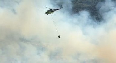 Aydın'da orman yangını