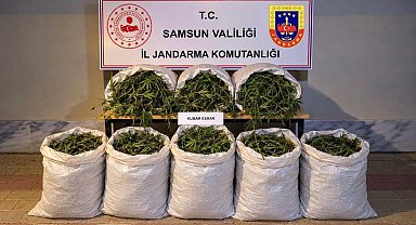 Bafra'da 63 kilo kubar esrar ele geçirildi
