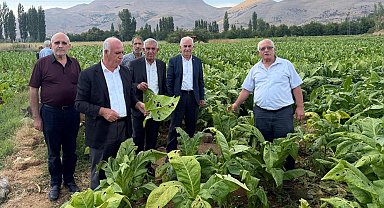 Başkan Özkan: "Çelikhan'da dolu yağışı tütün üreticilerini vurdu"