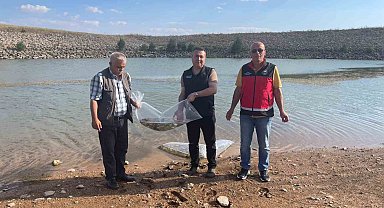 Beyşehir ve Hüyük'ün göletlerine balık bırakıldı
