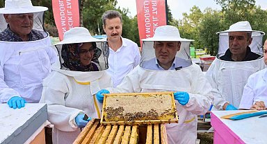 Bilecik'te 22 bin 500 kovandan 135 ton bal üretiliyor