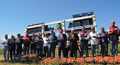 Bitlis'te domates hasadı başladı: Bölgede 1'inci, Türkiye'de 7'nci sırada