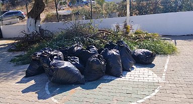 Bodrum'da ot temizliği çalışmaları sürüyor