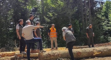 Bolu'da ormancılık faaliyetlerine saha denetimi