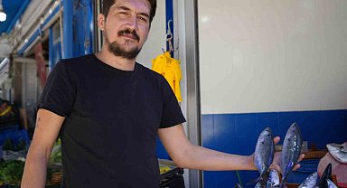 Bu sene vatandaşlar palamuda doyacak
