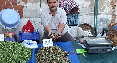 Burhaniye'de kınalı bamya ilgi gördü
