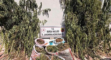Bursa'da uyuşturucu operasyonu: 22 kilo 675 gram esrar ele geçirildi