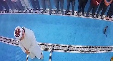 Camide kediyi tekmeleyen şahsa sosyal medyada tepki yağdı: Başsavcılık harekete geçti, gözaltına alındı