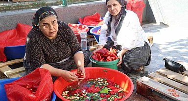 Damlar şarkılı türkülü salça mesaisi ile kırmızıya boyandı