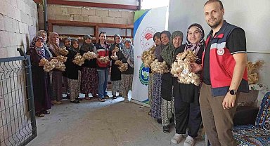 Domaniç'te sarımsak üreticilerine organik tarım desteği