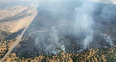 Elazığ'da kırsalda başlayan yangın ormanlık alana sıçradı: Müdahale sürüyor