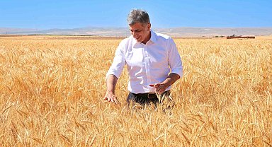 ETİ, kuraklığa dayanıklı Kanatlı Buğdayı'nın ilk tohumluk hasadını gerçekleştirdi