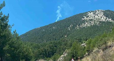 Fethiye'de orman yangını