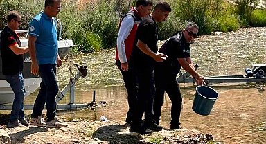 Hatay'daki baraj ve göletlere 682 bin sazan yavrusu bırakıldı