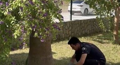 Havalandırma boşluğuna düşen 3 yavru kediyi itfaiye kurtardı